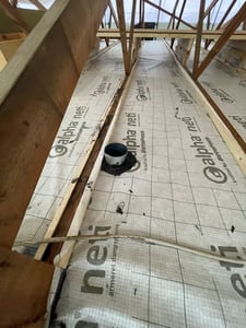 alpha Neti og AEROSANA VISCONN